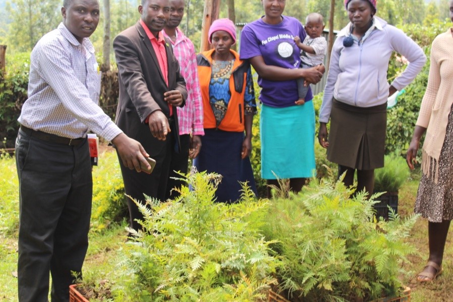 https://nyaribari-masaba.ngcdf.go.ke/wp-content/uploads/2021/07/Nyaribari-Masaba-youths-seedlings-Project.jpg