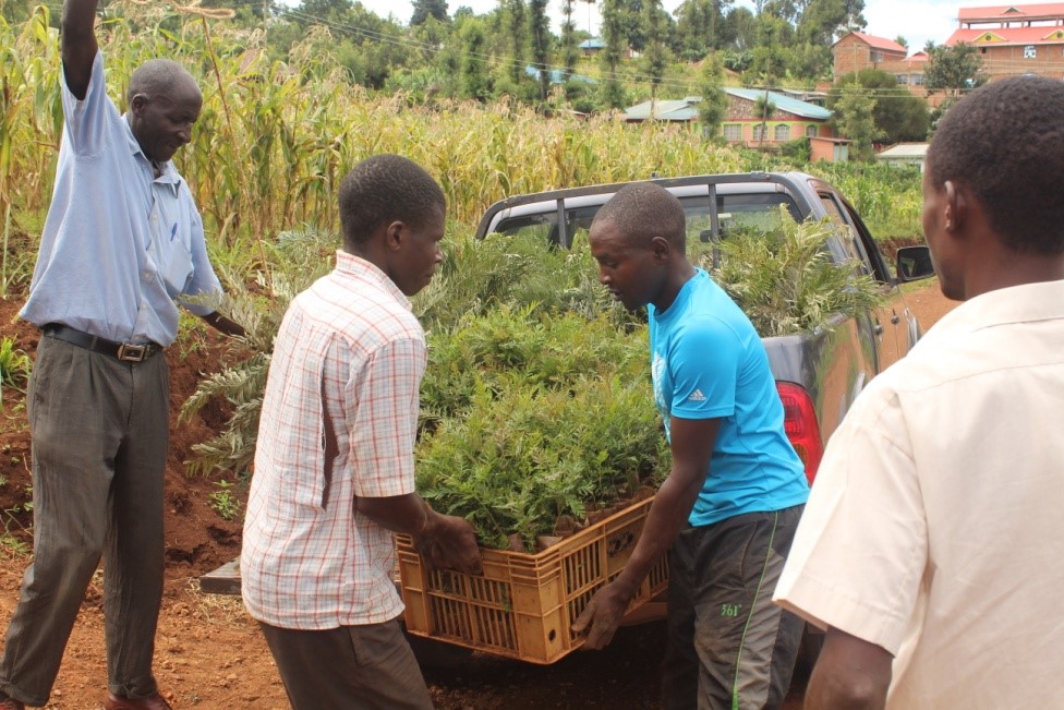 https://nyaribari-masaba.ngcdf.go.ke/wp-content/uploads/2021/07/Seedlings-ready-to-be-transported-to-instituions.jpg